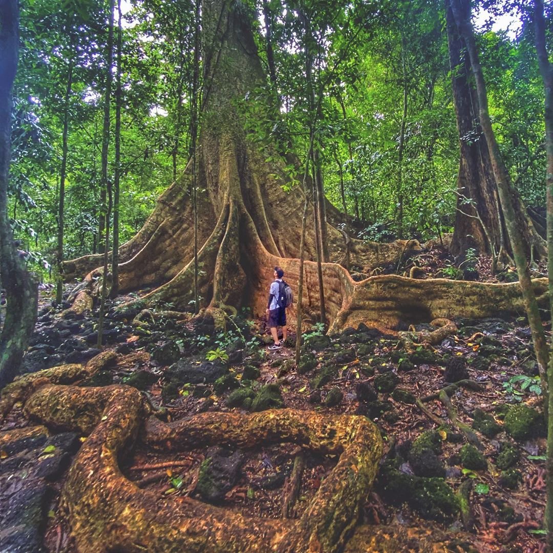 Trek Vietnam Central Highlands 7 Day Itinerary